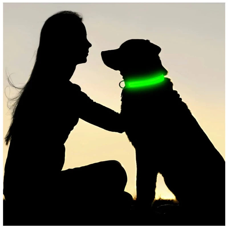 Glow Collar