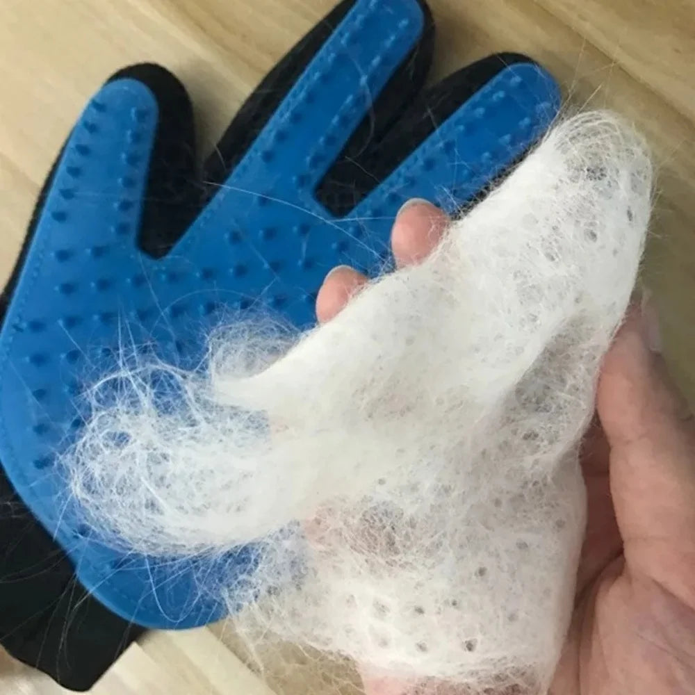 Grooming Glove