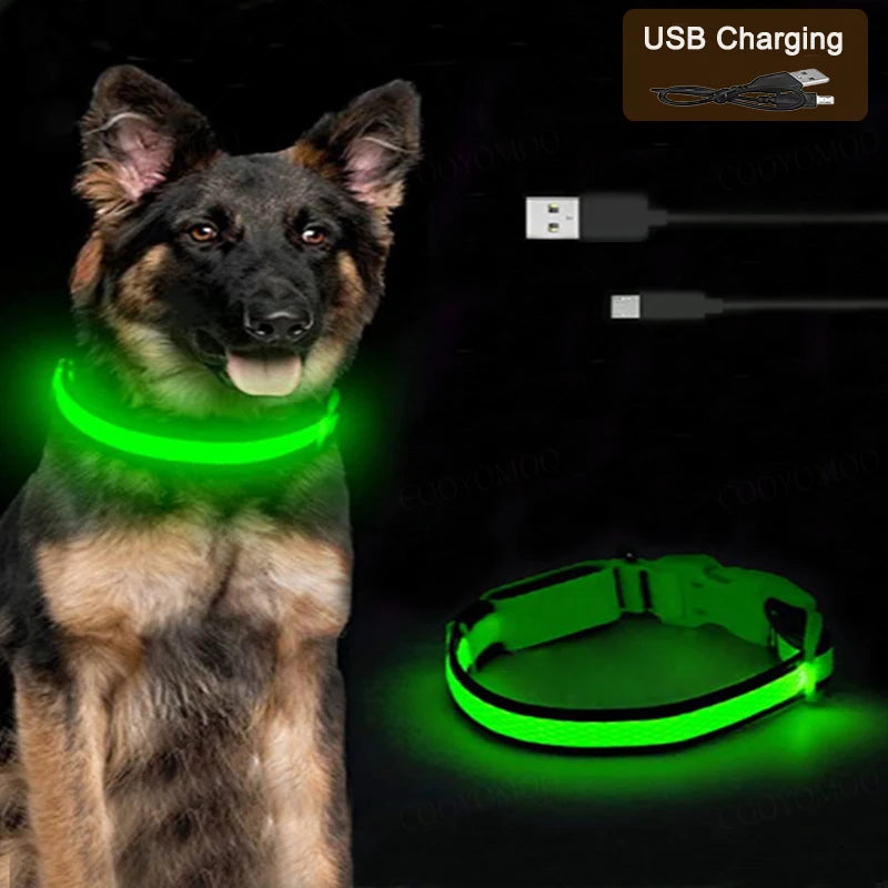 Glow Collar