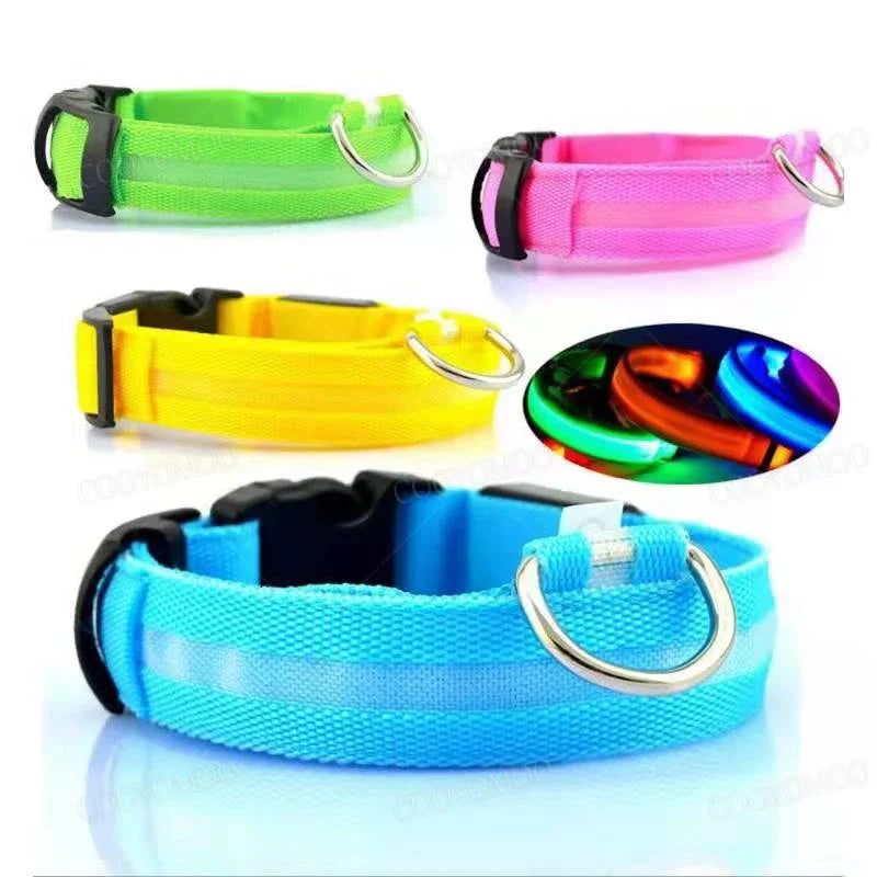 Glow Collar